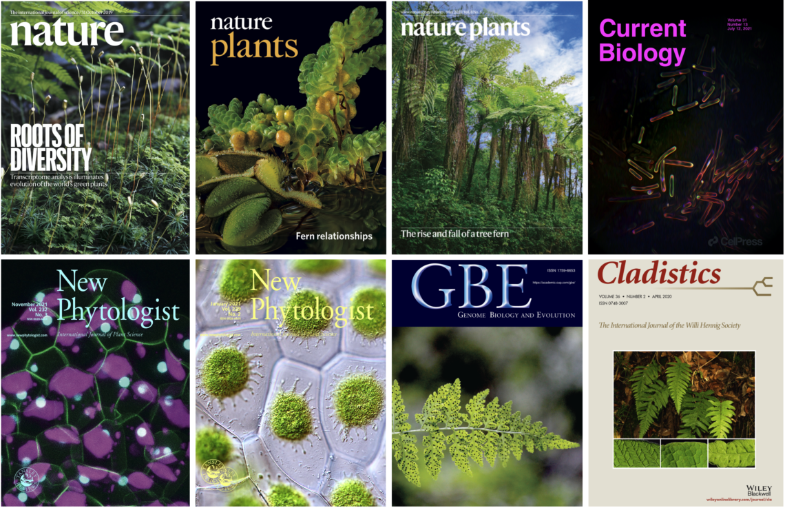 Publications – Fay-Wei Li Lab